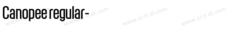 Canopee regular字体转换